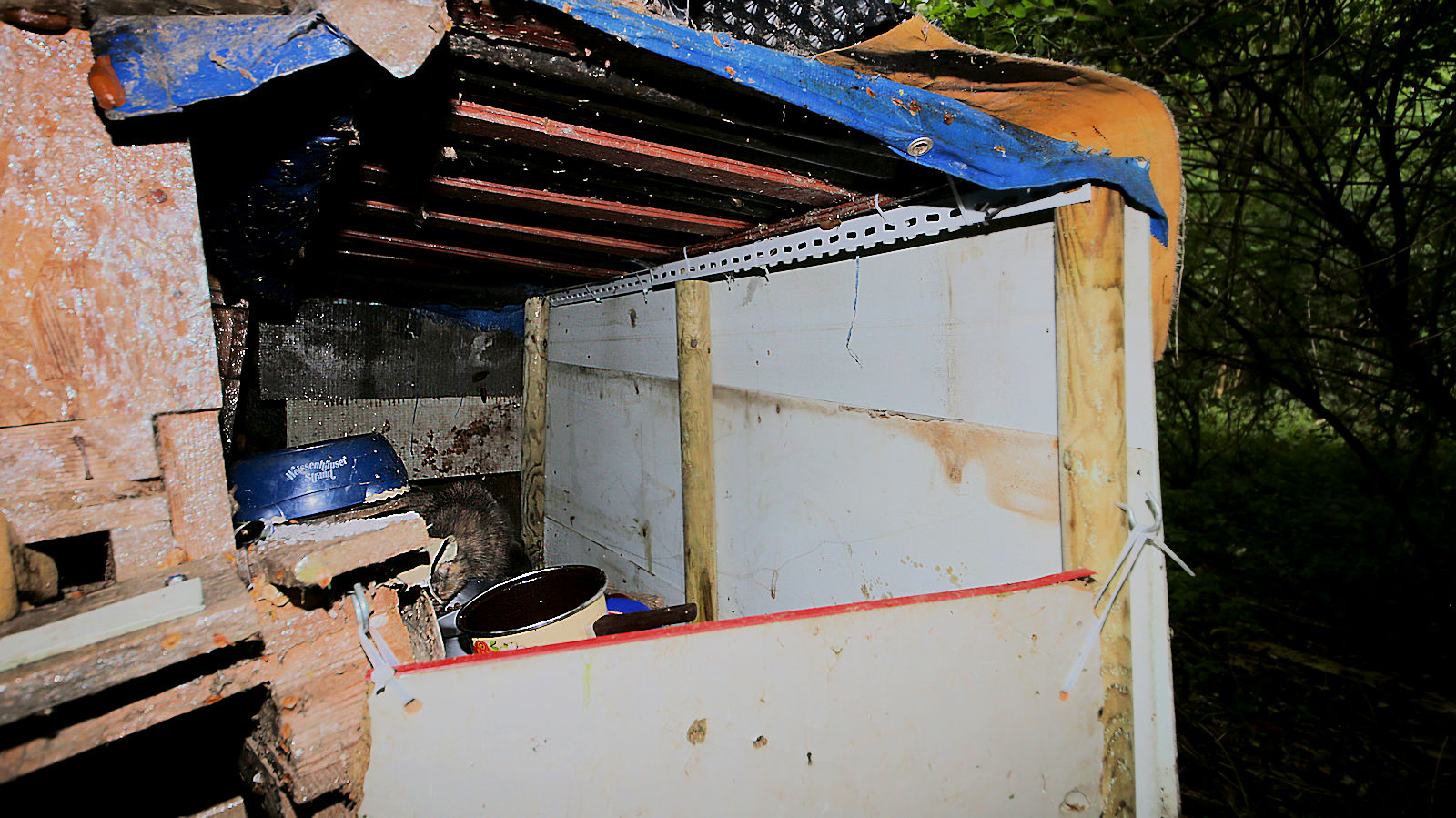 The earlier cat shelter