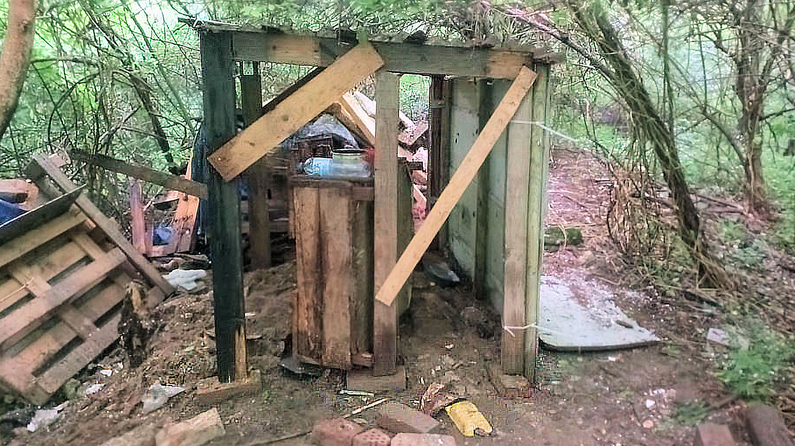The earlier cat shelter