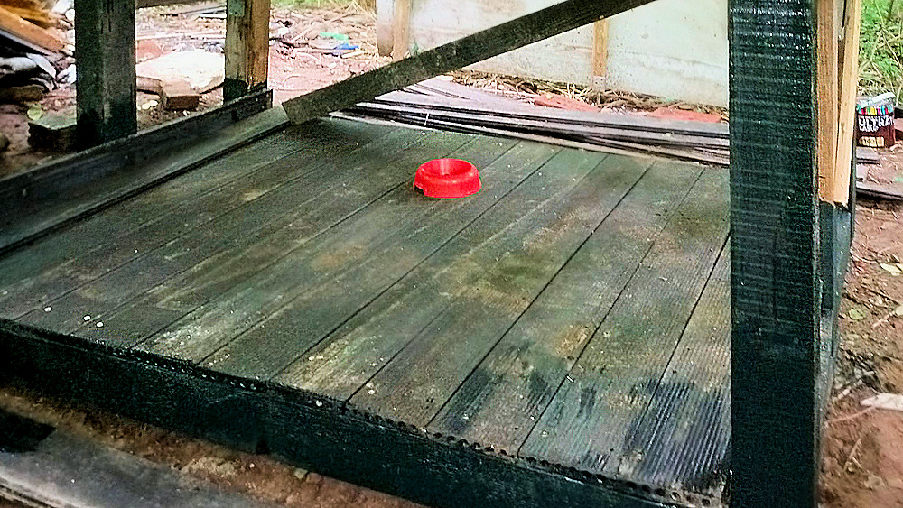 The earlier cat shelter