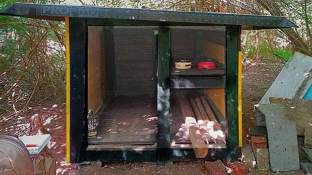 The earlier cat shelter