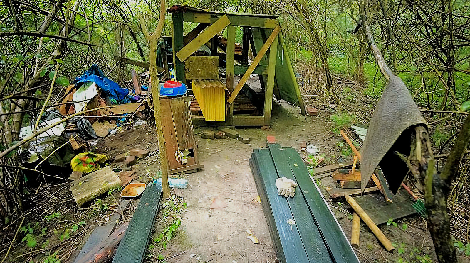 The earlier cat shelter