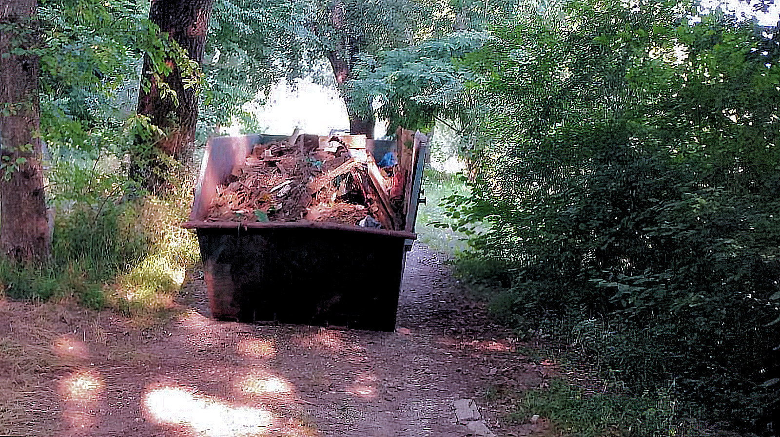The earlier cat shelter