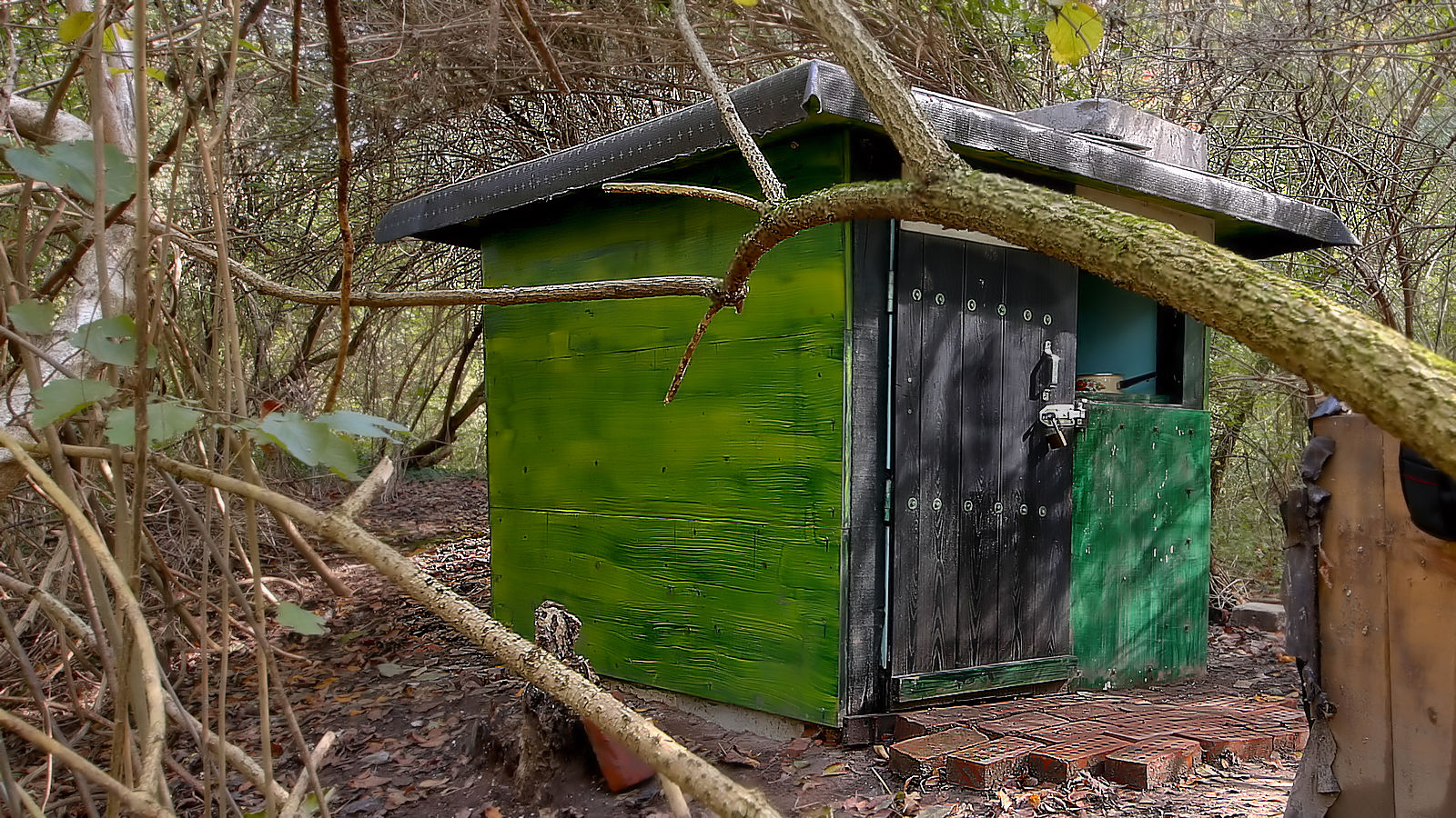 The earlier cat shelter