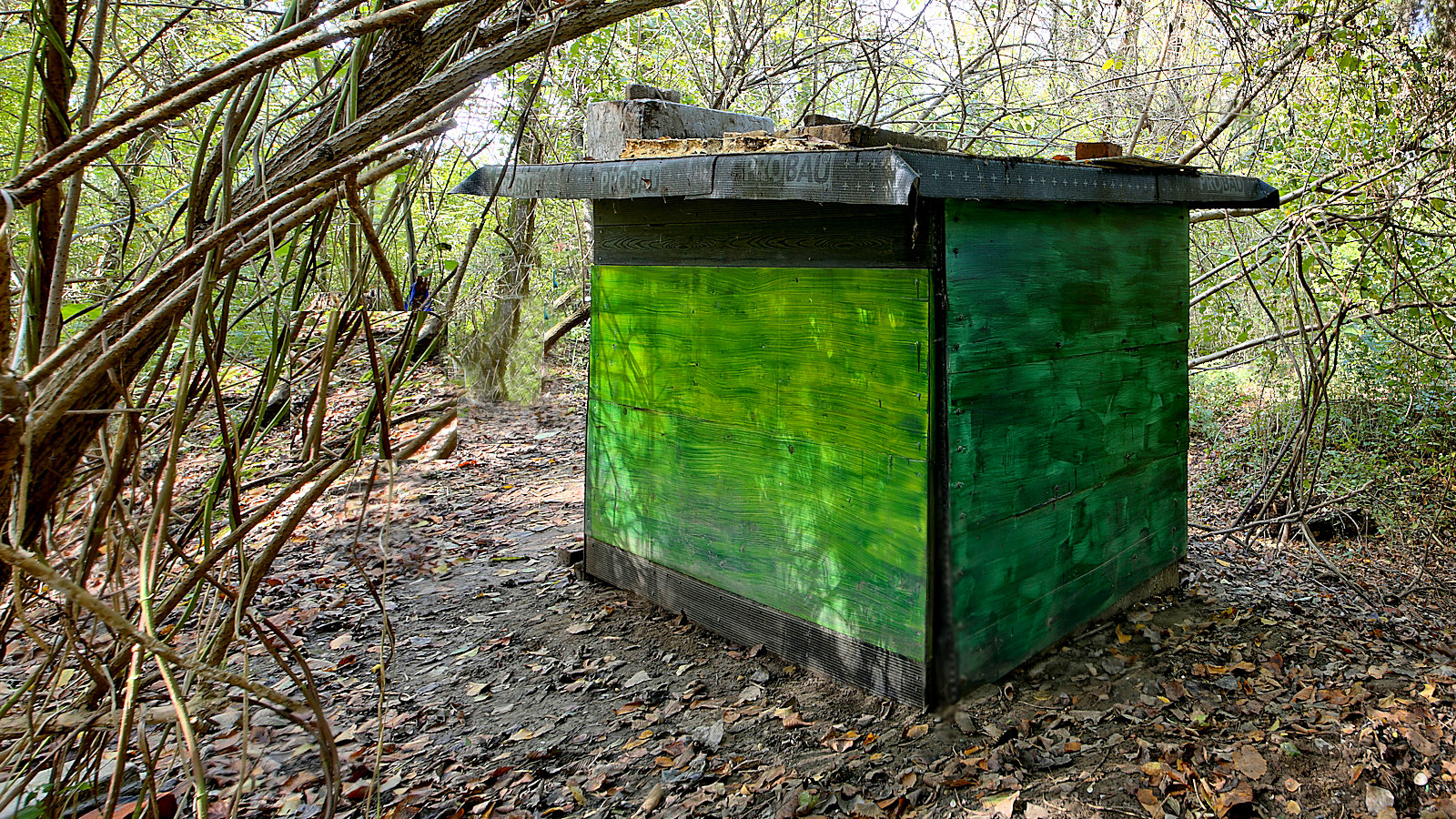 The earlier cat shelter
