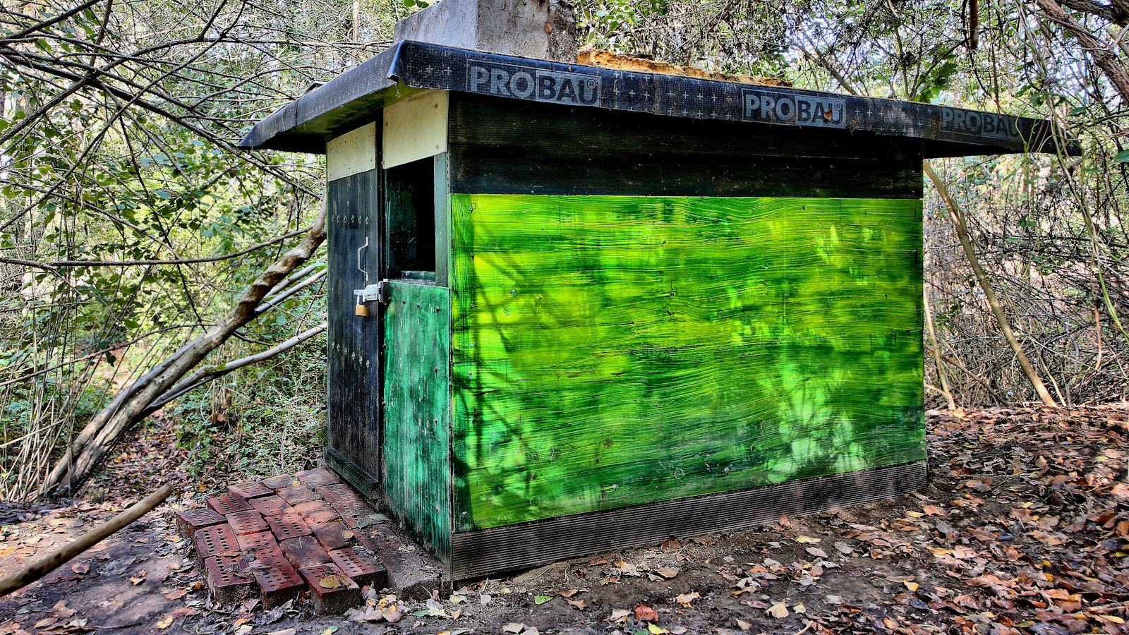 The earlier cat shelter