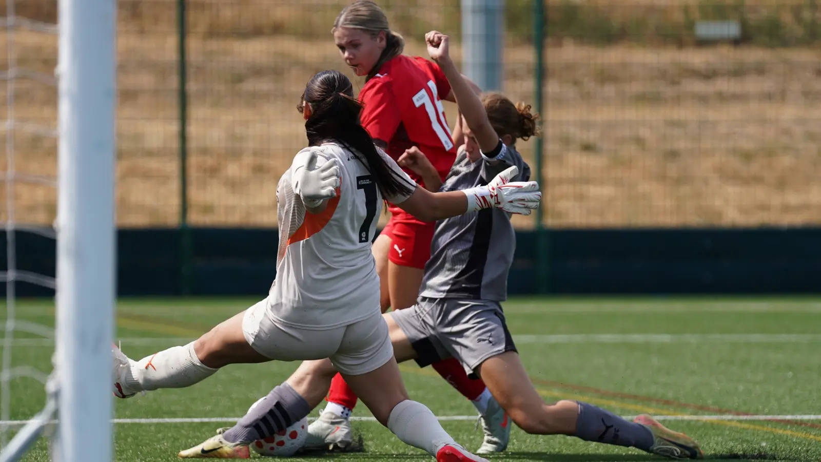 Orient training game