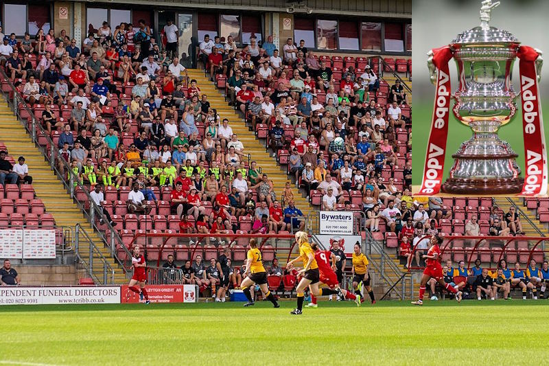 crowd at Brisbane Road for a recent women's game
