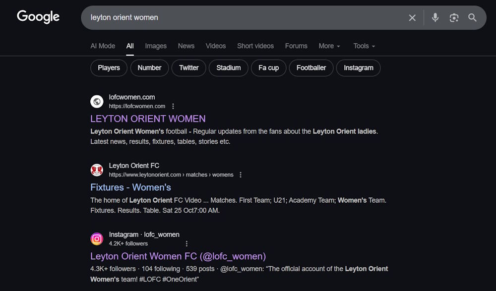 Google search results image