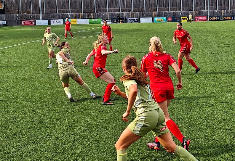 Georgia(7), Maddie (9) and Wiki on the attack