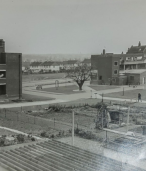 From the back of our house towards valley Way & the shops.